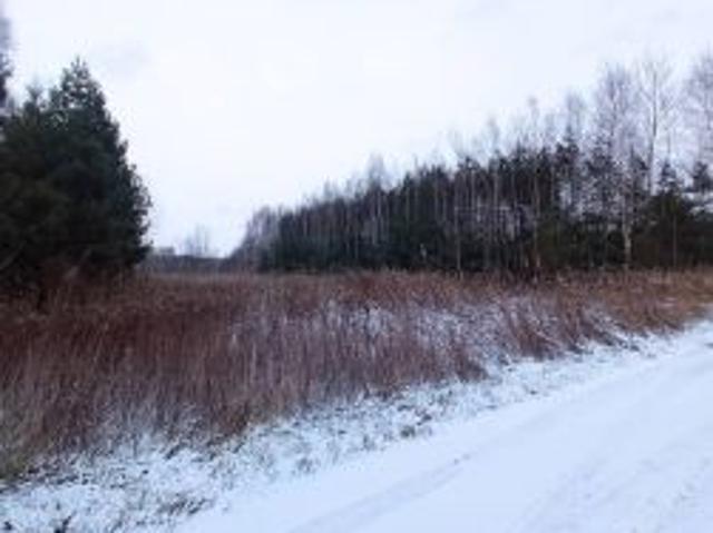 Bezpośrednio, Rytwiany, 1900 m² Działka