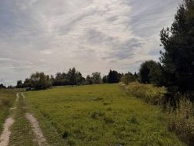 Bezpośrednio, Rytwiany, 5688 m² Działka