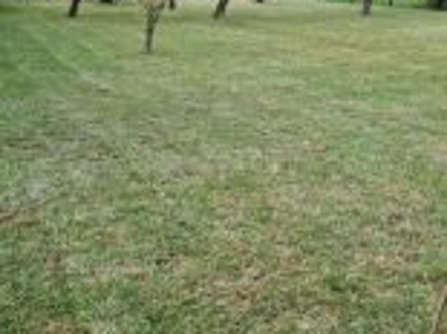 Bezpośrednio, Rybnik, Kamień pod Rzędówką, ul. Sąsiedzka, 800 m² Działka