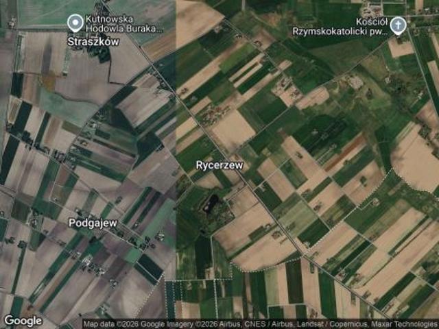 Bezpośrednio, Rycerzew, 44700 m² Działka
