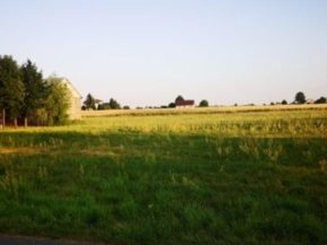 Bezpośrednio, Rychwał, Milew, ul. Milewo, 2250 m² Działka