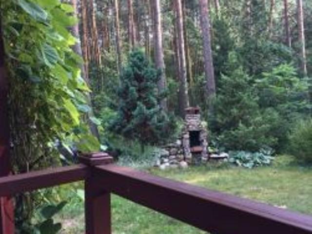 Bezpośrednio, Rydzynki, 3200 m² Działka