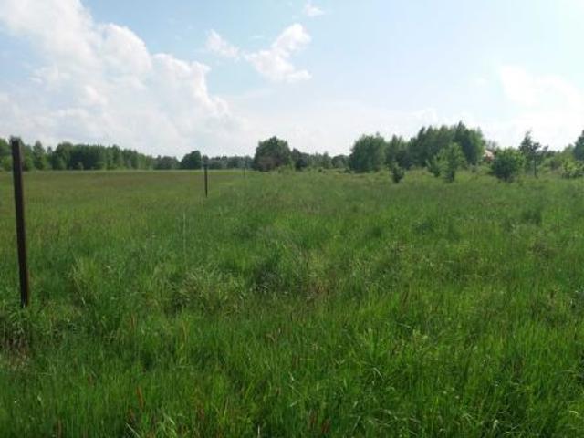 Bezpośrednio, Rydzynki, ul. Słowicza, 7860 m² Działka