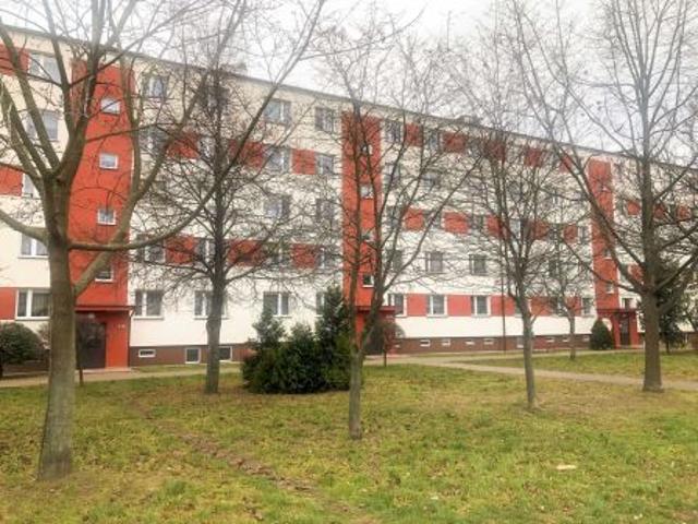 Bezpośrednio, Rypin, ul. dr. Wł. Cholewińskiego, 65 m² Mieszkanie