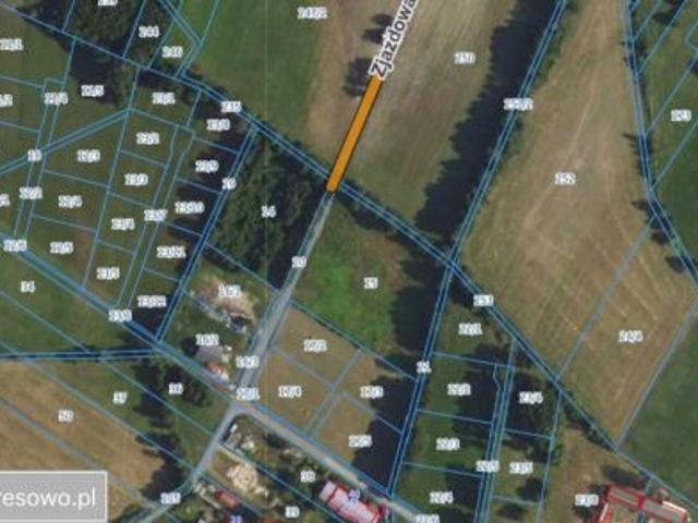 Bezpośrednio, Rysie, 5000 m² Działka