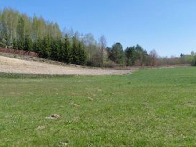 Bezpośrednio, Rzeczyca Kolonia, 13800 m² Działka