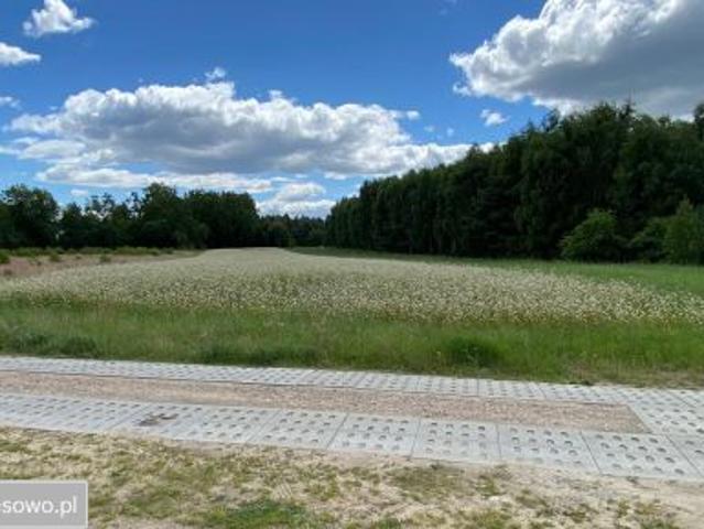 Bezpośrednio, Rzeczenica, ul. Cicha, 2400 m² Działka