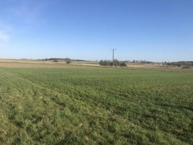Bezpośrednio, Rzeszów, ul. Pogodna, 3000 m² Działka