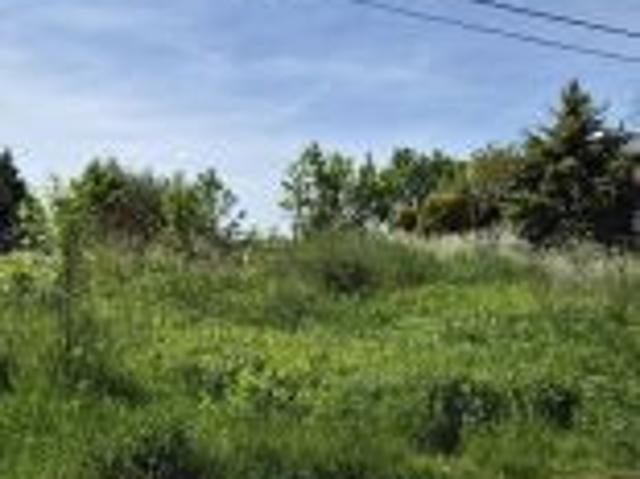 Bezpośrednio, Rzeszów, Staromieście, ul. Łowiecka, 4245 m² Działka