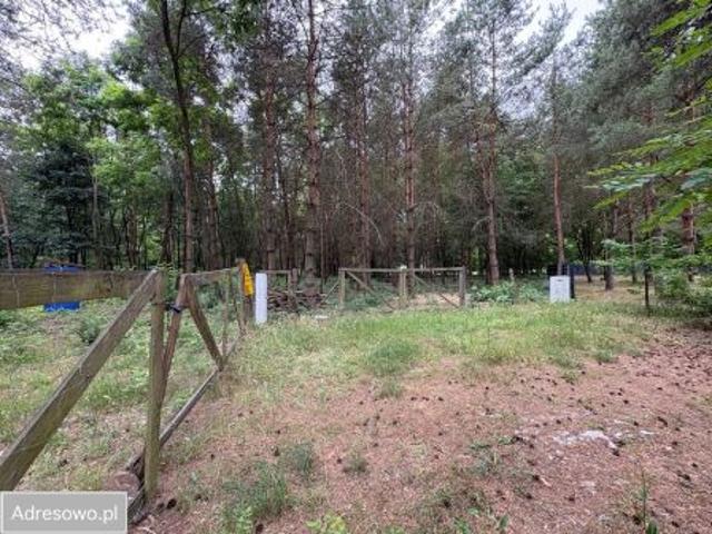 Bezpośrednio, Wężyk, 1505 m² Działka