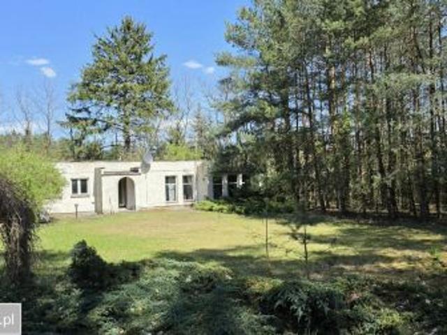 Bezpośrednio, Władysławów, ul. Wojska Polskiego, 10680 m² Działka