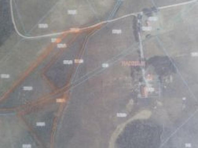 Bezpośrednio, Radzieje, 25900 m² Działka