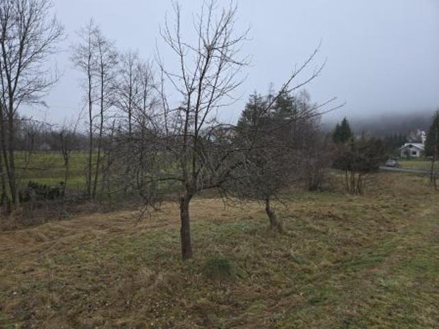 Bezpośrednio, Węglówka, 2535 m² Działka