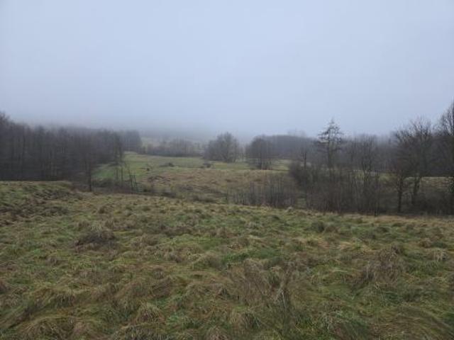 Bezpośrednio, Węglówka, 2944 m² Działka