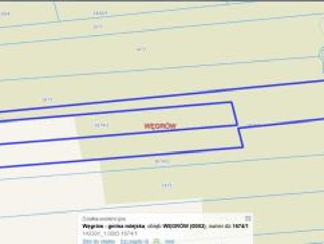 Bezpośrednio, Węgrów, Nowiny, 49000 m² Działka