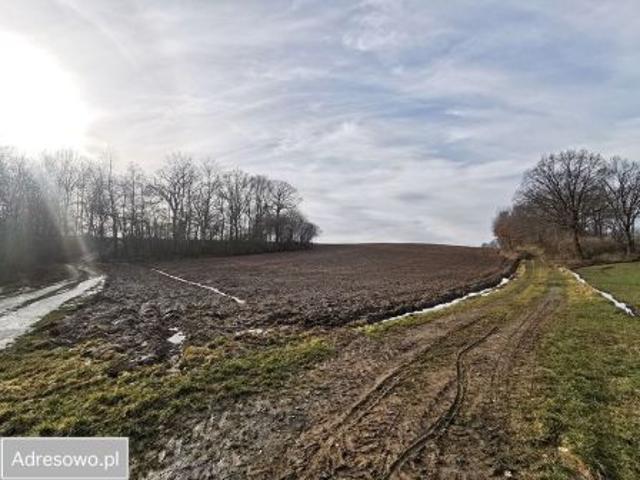 Bezpośrednio, Węgrów, 80819 m² Działka