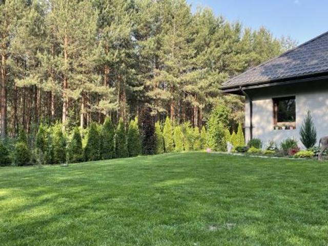 Bezpośrednio, Włodzimierzów, 280 m² Dom