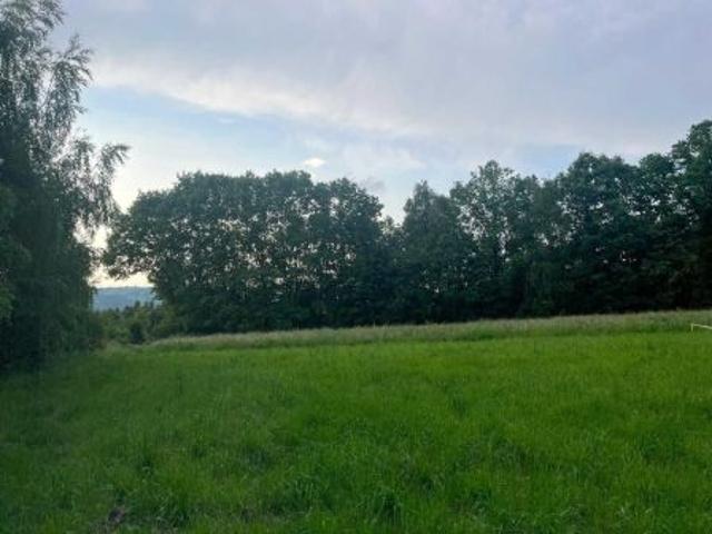 Bezpośrednio, Włosań, 2670 m² Działka