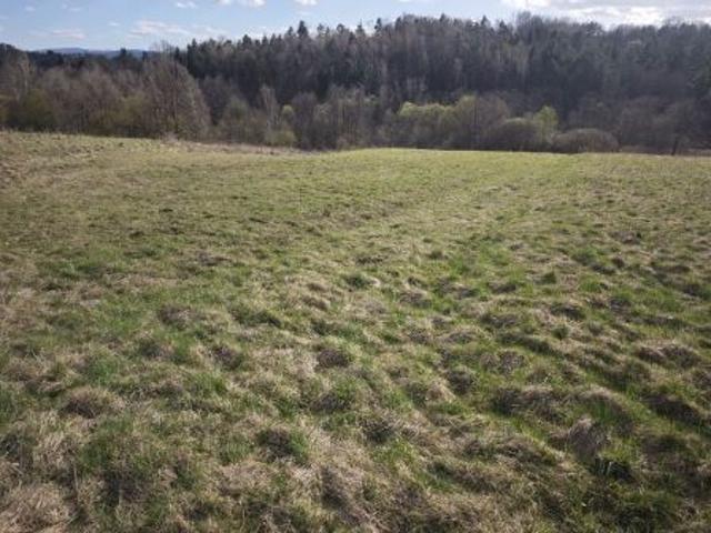Bezpośrednio, Włosań, ul. Kamienna, 3834 m² Działka