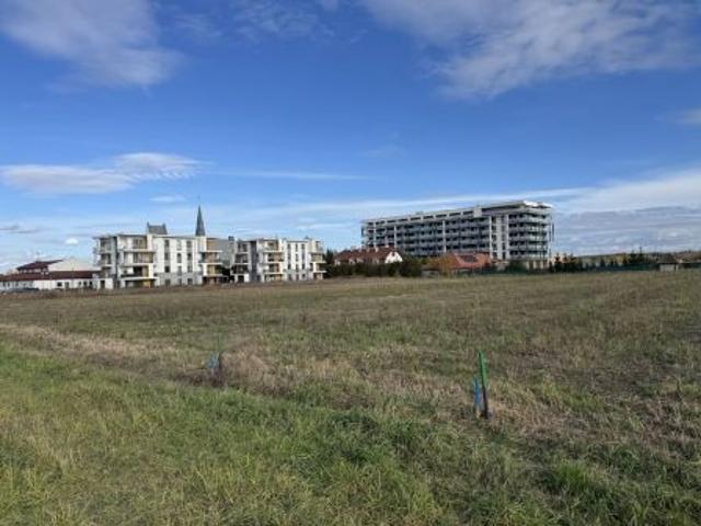 Bezpośrednio, Włoszczowa, ul. ks. bp. Jaworskiego, 810 m² Działka