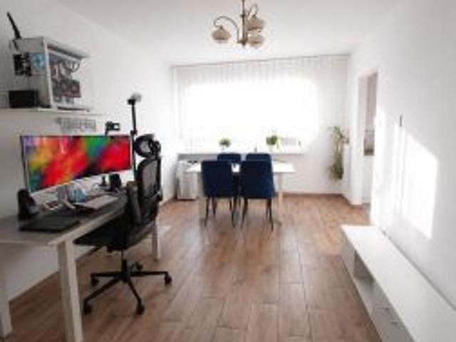Bezpośrednio, Wołów, 42 m² Mieszkanie