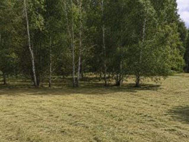Bezpośrednio, Wołyńce, Wołyńce Kolonia, 825 m² Działka