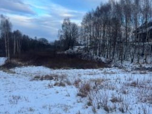 Bezpośrednio, Wodzisław Śląski, Wilchwy, 6000 m² Działka