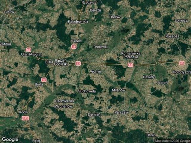 Bezpośrednio, Wohyń, Nowinki, 28000 m² Działka