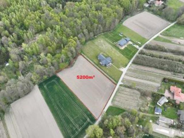 Bezpośrednio, Wojciechów, 5200 m² Działka