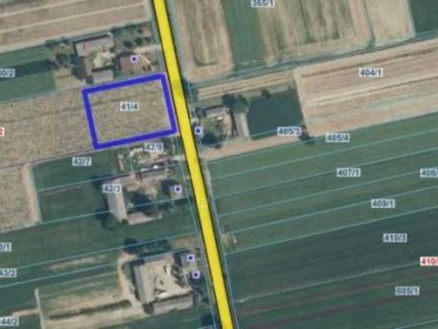 Bezpośrednio, Wojciechów Kolonia Piąta, 3030 m² Działka