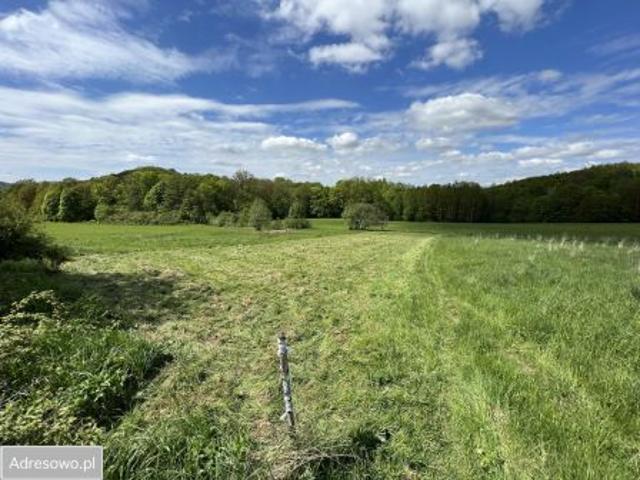 Bezpośrednio, Wojcieszów, 1000 m² Działka
