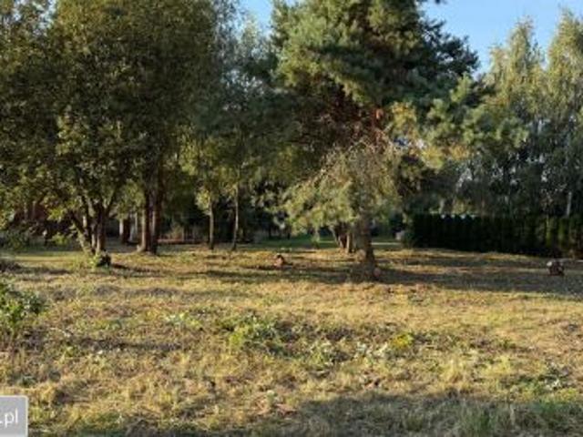 Bezpośrednio, Wójcin, 804 m² Działka
