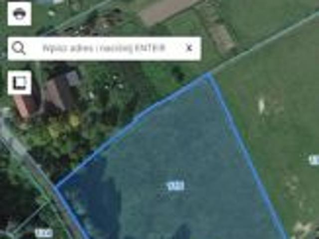 Bezpośrednio, Wojbórz, 1000 m² Działka
