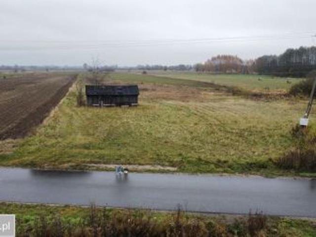 Bezpośrednio, Wójtostwo, Kozienice Kolonia, 16400 m² Działka