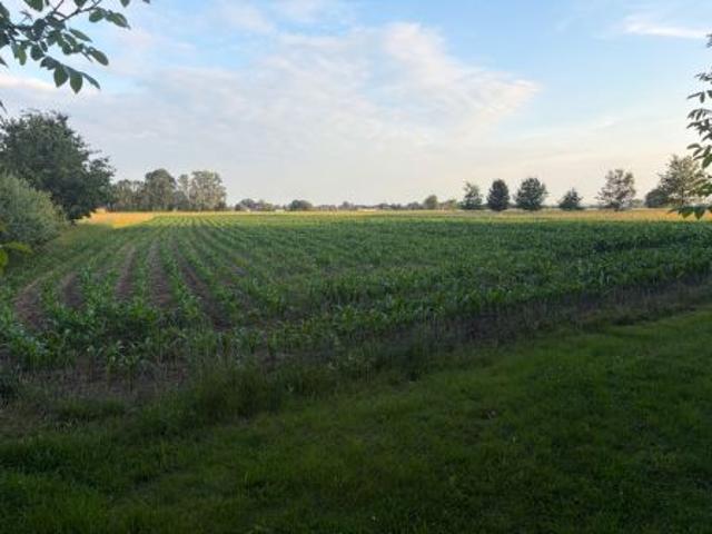 Bezpośrednio, Wola Batorska, 10000 m² Działka