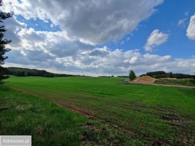 Bezpośrednio, Wola Kęczewska, 179800 m² Działka