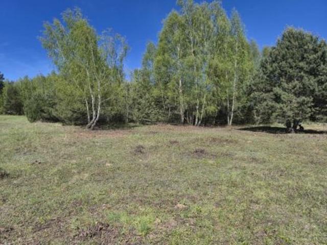 Bezpośrednio, Wola Morawicka, 1100 m² Działka