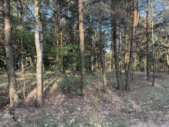 Bezpośrednio, Wola Polska, 1841 m² Działka