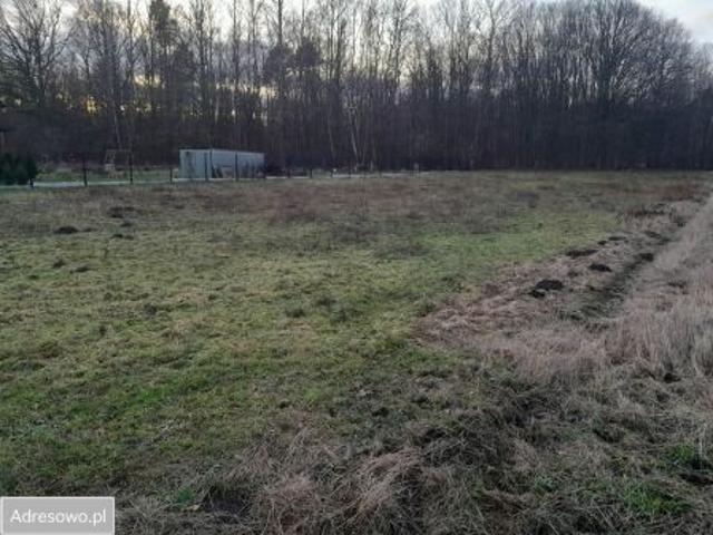 Bezpośrednio, Wola Rębkowska, ul. Zacisze, 2000 m² Działka