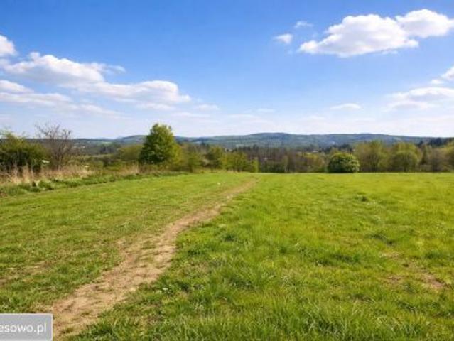 Bezpośrednio, Wola Radziszowska, 11600 m² Działka