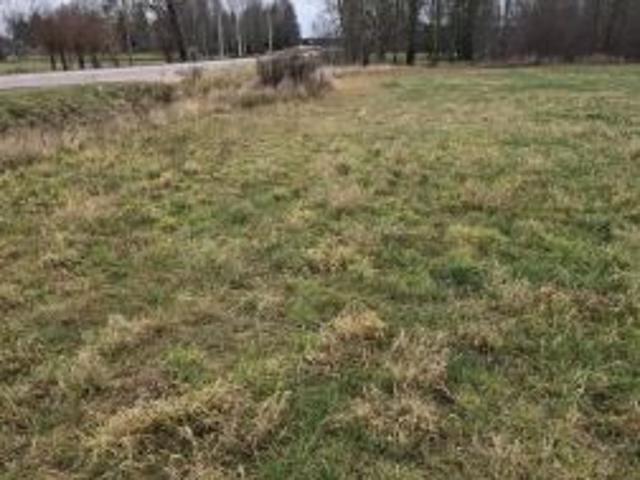 Bezpośrednio, Wólka, 1385 m² Działka