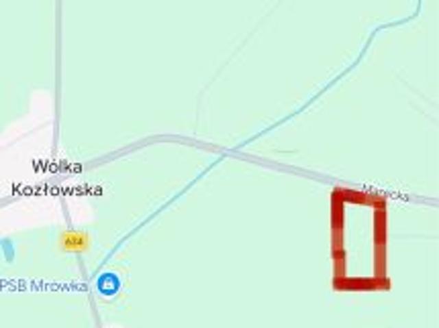 Bezpośrednio, Wólka Kozłowska, 7000 m² Działka