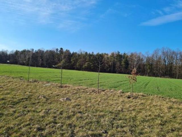 Bezpośrednio, Wólka Ostrożeńska, 3000 m² Działka