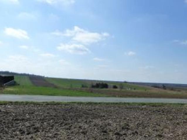 Bezpośrednio, Wolica Kolonia, 3500 m² Działka