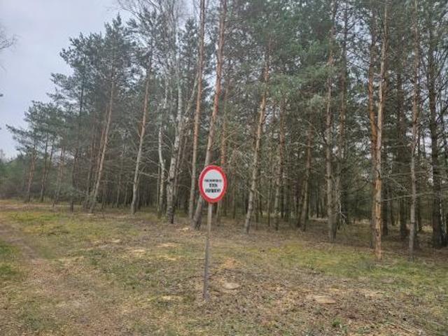 Bezpośrednio, Ważne Młyny, 1561 m² Działka