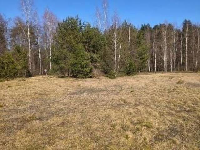 Bezpośrednio, Wały, 5900 m² Działka