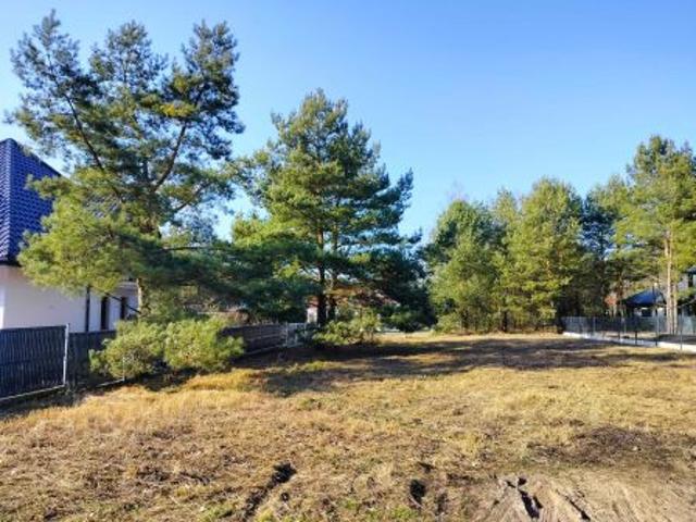 Bezpośrednio, Wałycz, ul. Świerkowa, 799 m² Działka