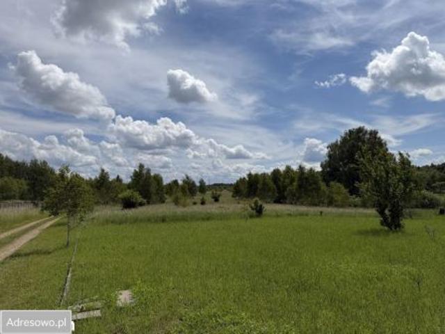 Bezpośrednio, Waliszewo, 3154 m² Działka