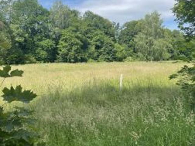 Bezpośrednio, Wambierzyce, 2700 m² Działka