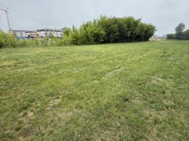 Bezpośrednio, Warka, ul. Krótka, 5700 m² Działka